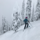 Illustration for article titled 2019-2020 Ski Season in Review